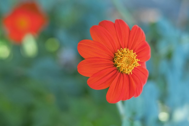 索默：我亲自下厨饮食接近纯素食，未来不想做教练因压力大