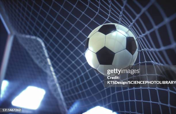 贝克汉姆首夺MLS冠军 14岁小七抹胸抢镜 大布缺席惹争议